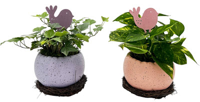 Ceramic Pastel Egg on Nest